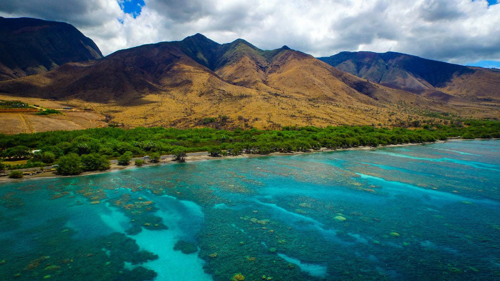 Kayaking the Wailua River & Secret Falls