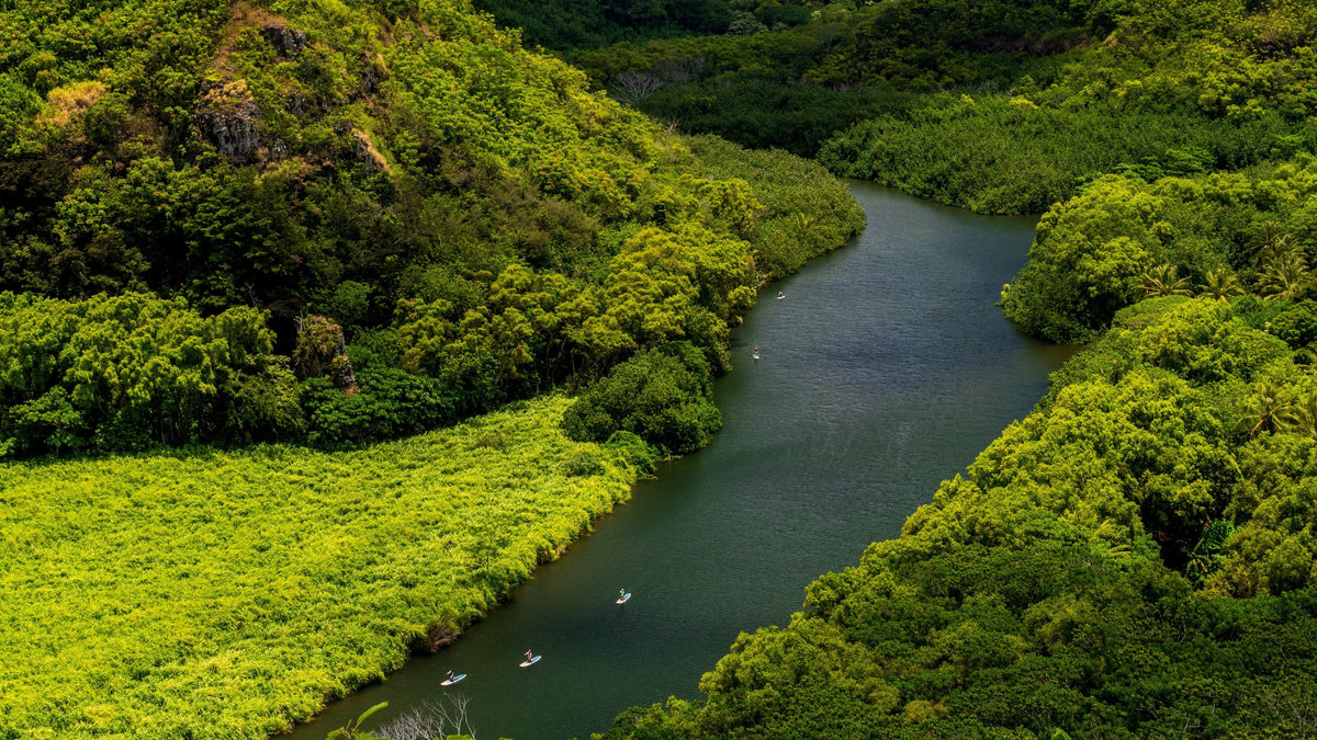 Kauai Kayak Rentals
