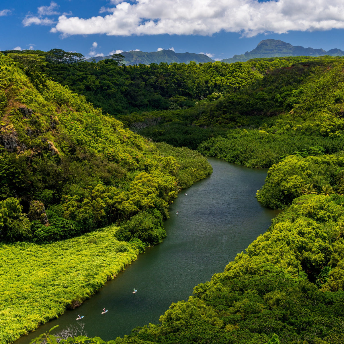 Kauai Paddle Board Rental