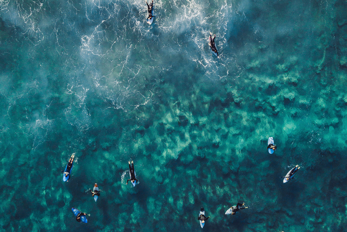 People paddleboarding in the ocean